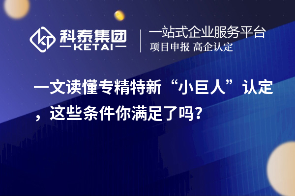 一文读懂专精特新“小巨人”认定,这些条件你满足了吗?