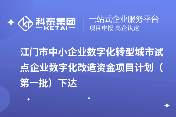 江门市中小企业数字化转型城市试点企业数字化改造资金项目计划(第一批)下达