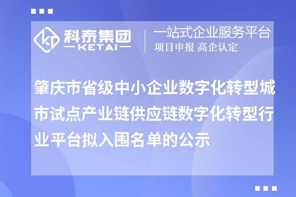 肇庆市省级中小企业数字化转型城市试点产业链供应链数字化转型行业平台拟入围名单的公示