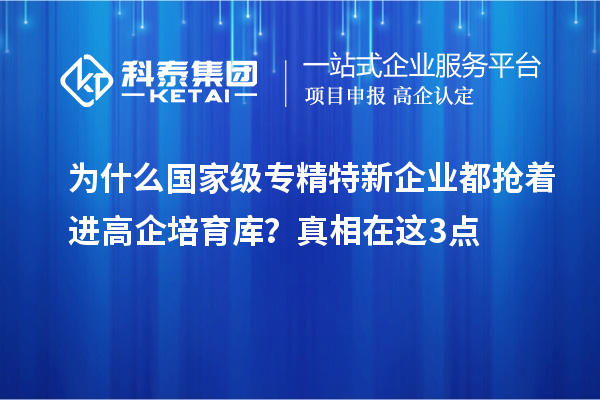 为什么国家级专精特新企业都抢着进高企培育库?真相在这3点