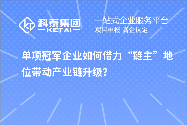 单项冠军企业如何借力“链主”地位带动产业链升级?
