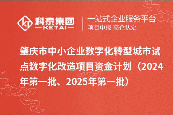 肇庆市中小企业数字化转型城市试点数字化改造项目资金计划(2024年第一批、2025年第一批)