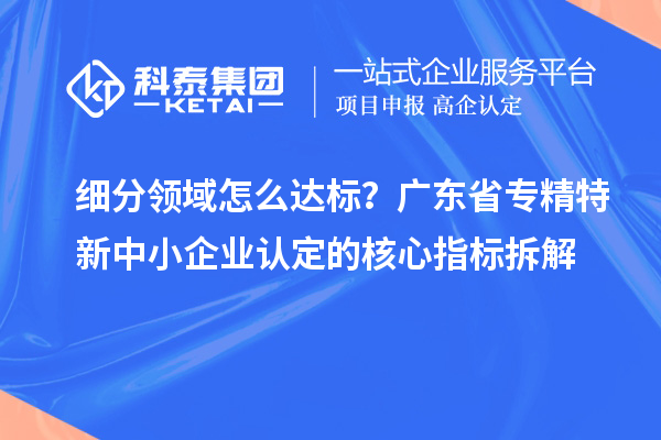 细分领域怎么达标?广东省专精特新中小企业认定的核心指标拆解