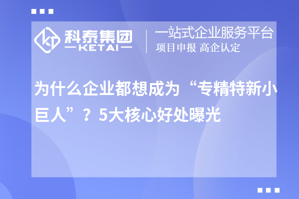为什么企业都想成为“专精特新小巨人”?5大核心好处曝光