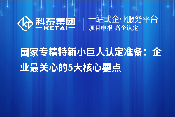 国家专精特新小巨人认定准备:企业最关心的5大核心要点