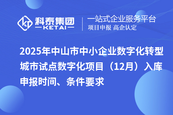 2025年中山市中小企业数字化转型城市试点数字化项目(12月)入库申报时间、条件要求