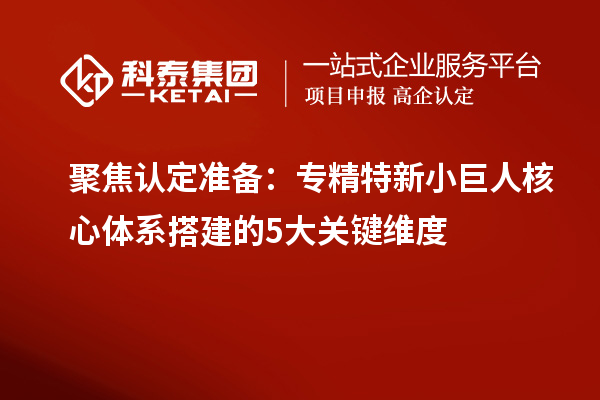 聚焦认定准备:专精特新小巨人核心体系搭建的5大关键维度