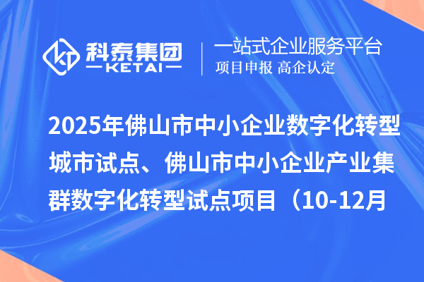 2025年佛山市中小企业数字化转型城市试点、佛山市中小企业产业集群数字化转型试点项目(10-12月批次)评审结果的公示