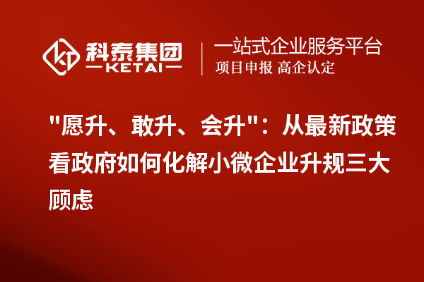 愿升、敢升、会升:从最新政策看政府如何化解小微企业升规三大顾虑