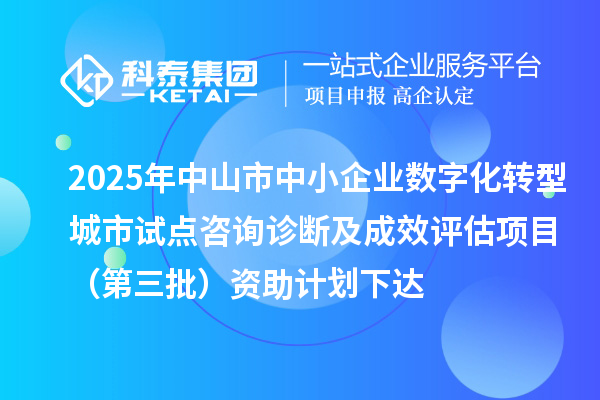 2025年中山市中小企业数字化转型城市试点咨询诊断及成效评估项目(第三批)资助计划下达
