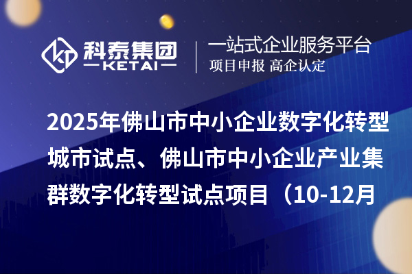 2025年佛山市中小企业数字化转型城市试点、佛山市中小企业产业集群数字化转型试点项目(10-12月批次)评审结果的公示(第二次)