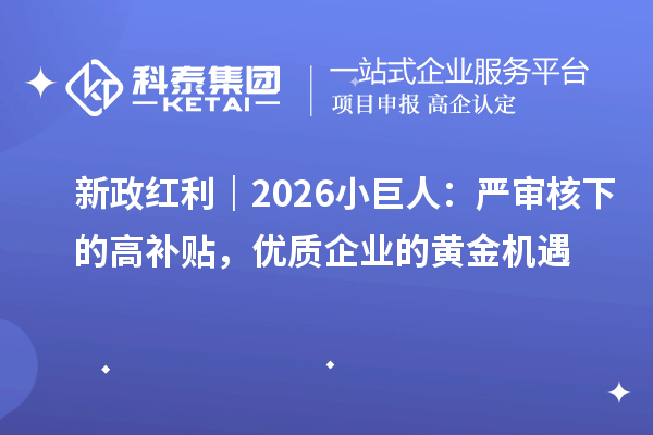 新政红利|2026小巨人:严审核下的高补贴,优质企业的黄金机遇