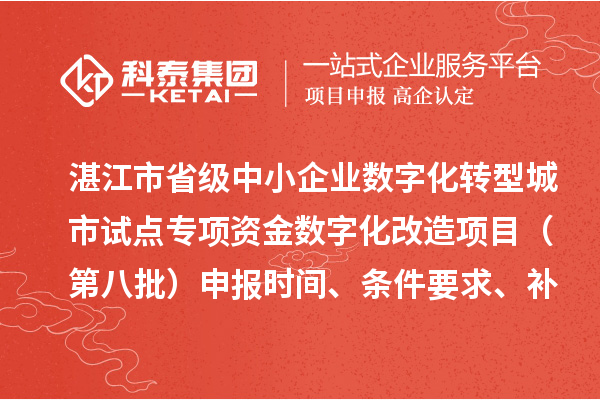 湛江市省级中小企业数字化转型城市试点专项资金数字化改造项目(第八批)申报时间、条件要求、补助奖励
