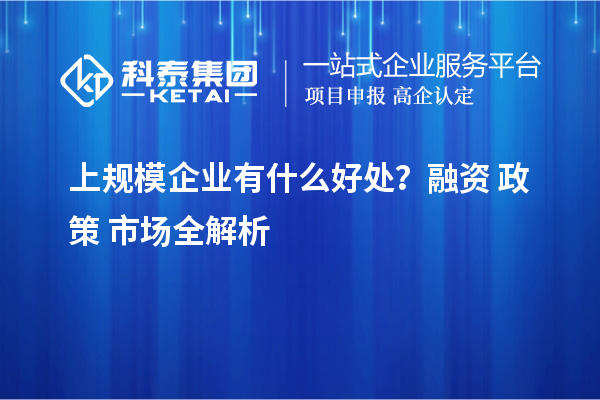 上规模企业有什么好处?融资 + 政策 + 市场全解析