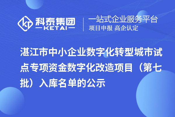 湛江市中小企业数字化转型城市试点专项资金数字化改造项目(第七批)入库名单的公示
