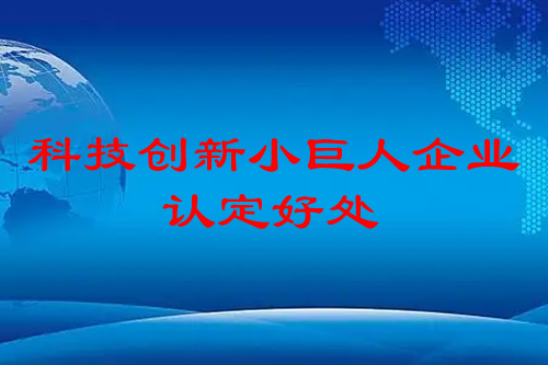 科技创新小巨人企业认定好处