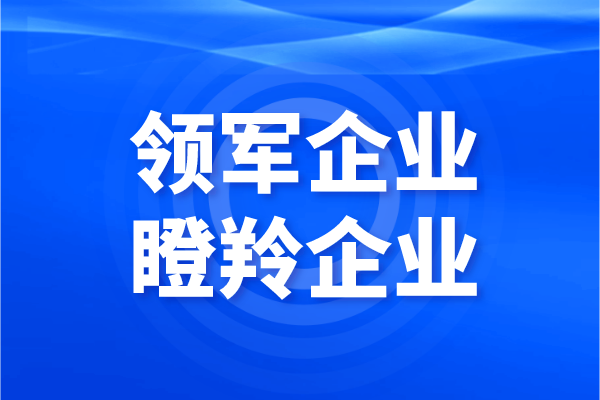 2021年中山火炬区领军及“瞪羚”企业认定及专项扶持资金申报