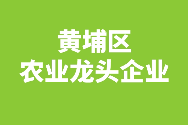 黄埔区2022年区级农业龙头企业申报（时间、条件、奖励）