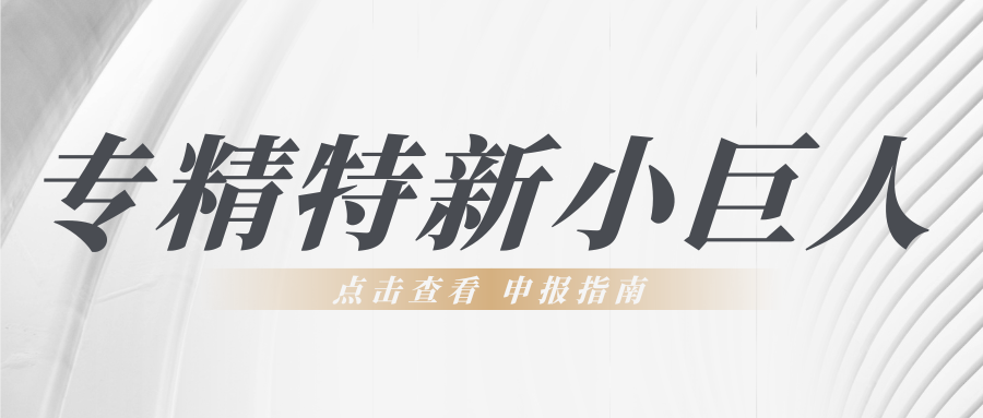 第六批专精特新“小巨人”申报倒计时！企业要如何准备申报工作？