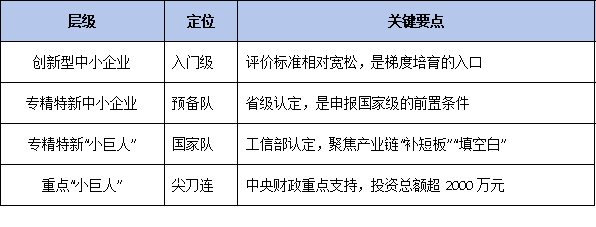 2026国家级全景指南：政策新风向、认定条件与梯度培育路径深度解析