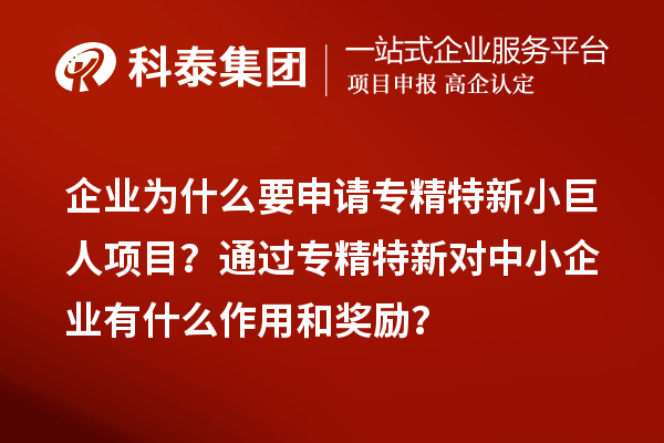 企业为什么要申请专精特新小巨人项目？通过专精特新对中小企业有什么作用和奖励？