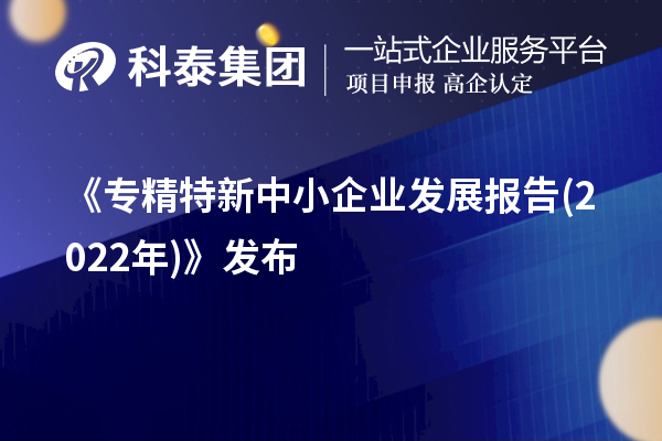 《专精特新中小企业发展报告(2022年)》发布