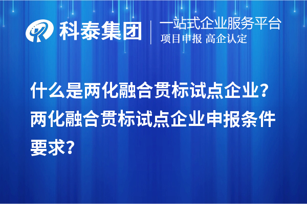 什么是
试点企业？
试点企业申报条件要求？