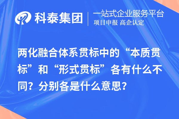 两化融合体系贯标中的“本质贯标”和“形式贯标”各有什么不同？分别各是什么意思？