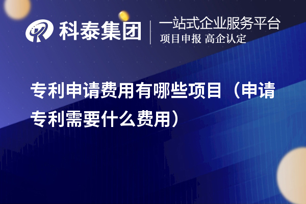 专利申请费用有哪些项目（申请专利需要什么费用）