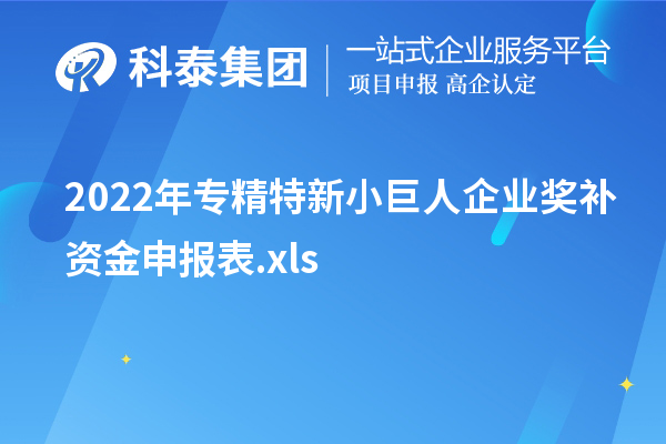 2022年专精特新小巨人企业奖补资金申报表.xls