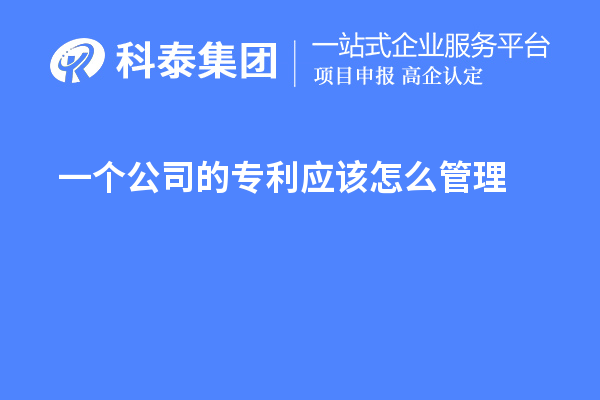 一个公司的专利应该怎么管理