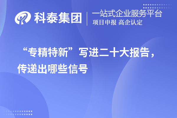 “专精特新”写进二十大报告，传递出哪些信号