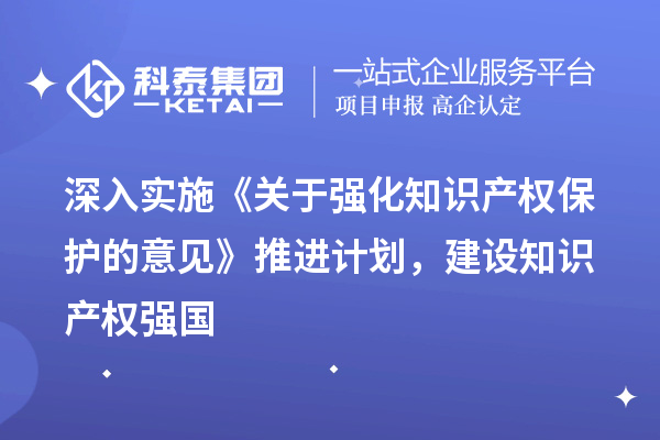 深入实施《关于强化知识产权保护的意见》推进计划，建设知识产权强国