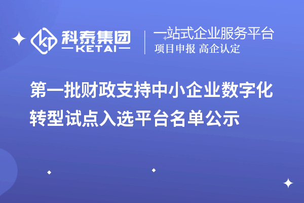 第一批财政支持中小企业数字化转型试点入选平台名单公示