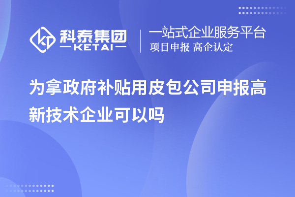 为拿政府补贴用皮包公司申报高新技术企业可以吗