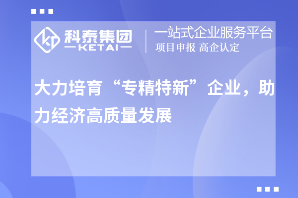 大力培育“专精特新”企业，助力经济高质量发展