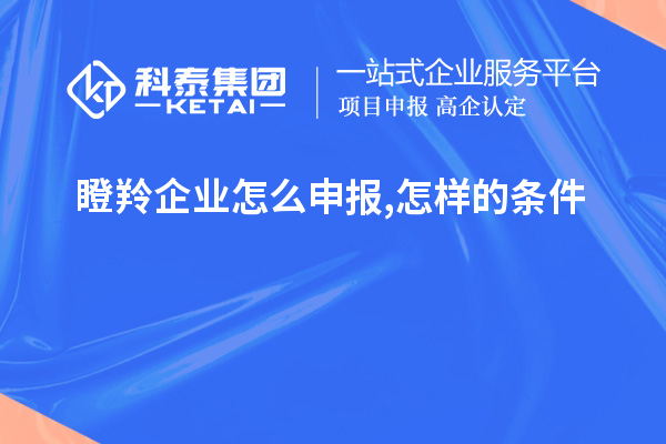 瞪羚企业怎么申报,怎样的条件