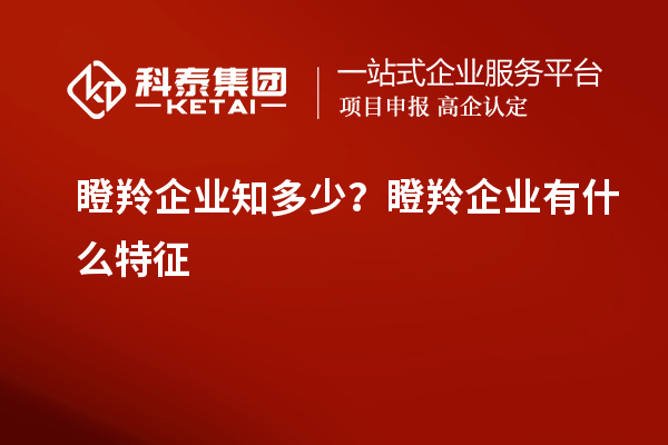 瞪羚企业知多少？瞪羚企业有什么特征