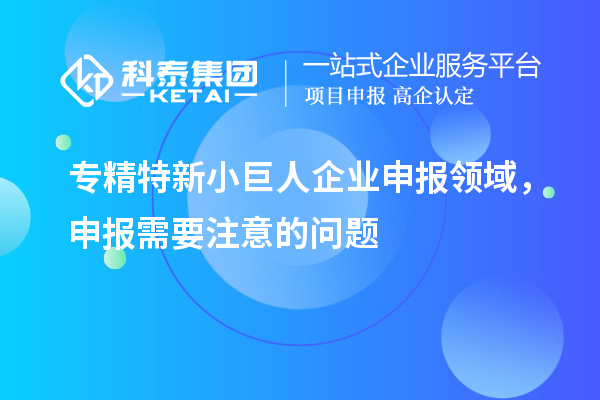 专精特新小巨人企业申报领域，申报需要注意的问题