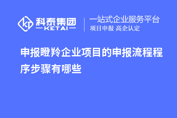 申报瞪羚企业项目的申报流程程序步骤有哪些