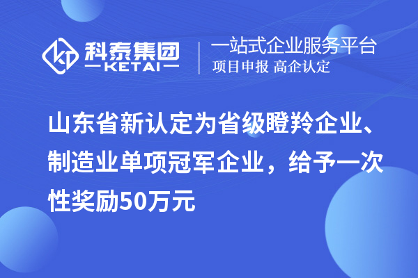 山东省新认定为省级瞪羚企业、制造业单项冠军企业，给予一次性奖励 50 万元