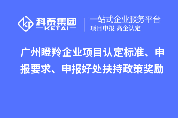 广州瞪羚企业项目认定标准、申报要求、申报好处扶持政策奖励