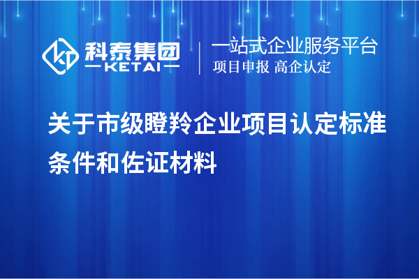 关于市级瞪羚企业项目认定标准条件和佐证材料