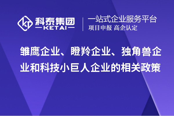 雏鹰企业、瞪羚企业、独角兽企业和科技小巨人企业的相关政策