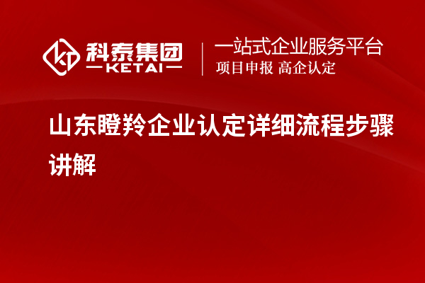 山东瞪羚企业认定详细流程步骤讲解