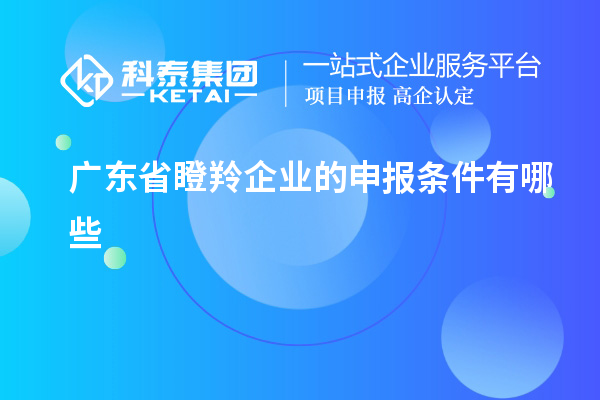 广东省瞪羚企业的申报条件有哪些