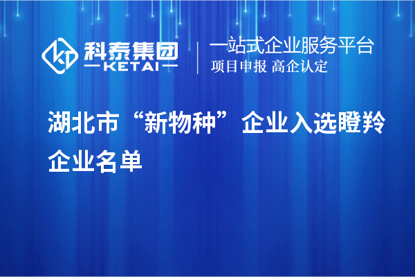 湖北市“新物种”企业入选瞪羚企业名单