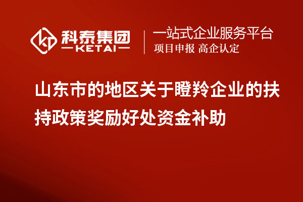 山东市的地区关于瞪羚企业的扶持政策奖励好处资金补助