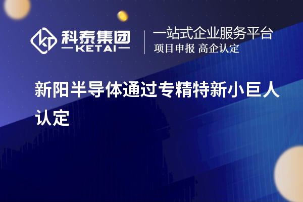 新阳半导体通过专精特新小巨人认定