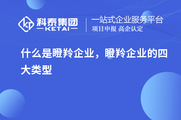 什么是瞪羚企业，瞪羚企业的四大类型